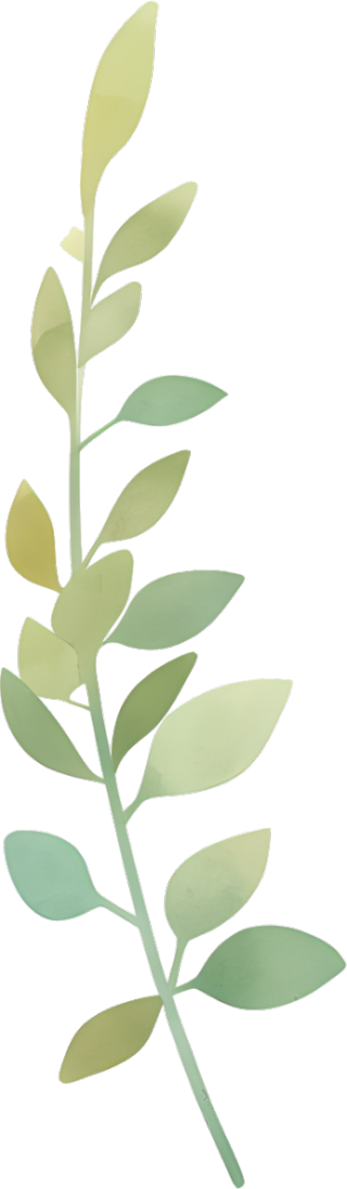 水彩植物极简插图