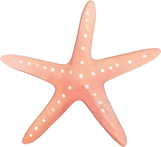 水彩海星插图