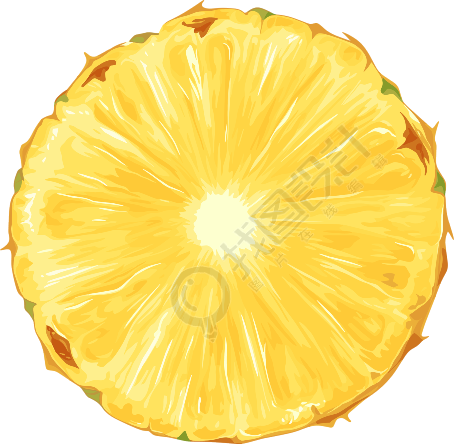 菠萝切片素材