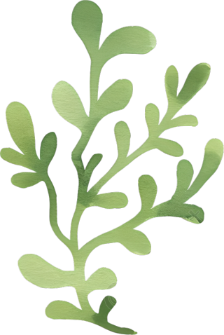 水彩植物叶子元素