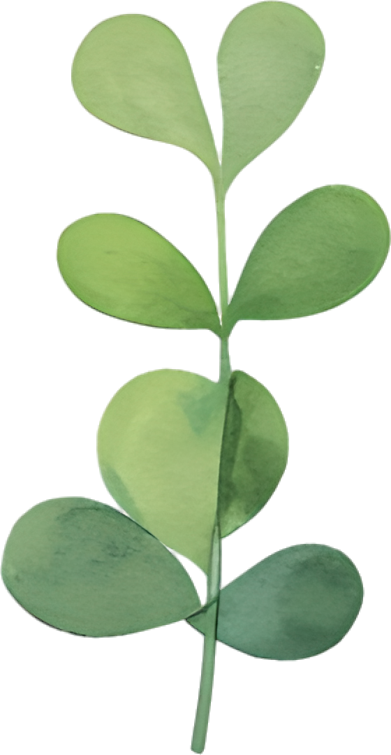 水彩植物商业设计元素