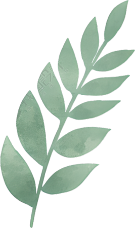 水彩植物装饰插画元素