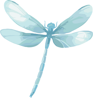 蜻蜓水彩画素材