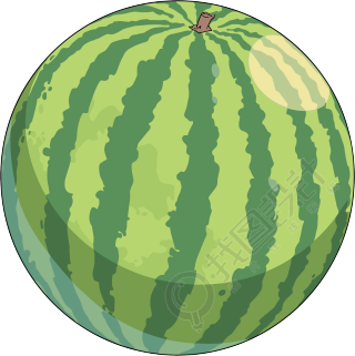 夏天西瓜插画