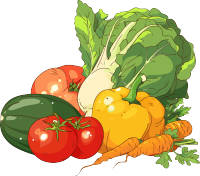 食品安全新鲜蔬菜插画
