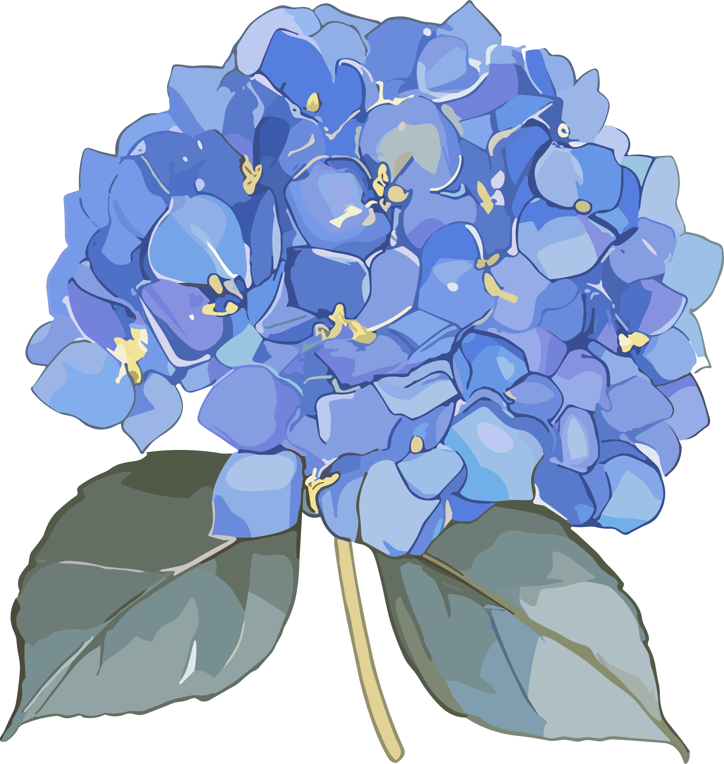 水彩绣球花素材