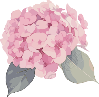 水彩绣球花装饰素材