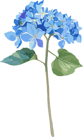 水彩绣球花唯美元素