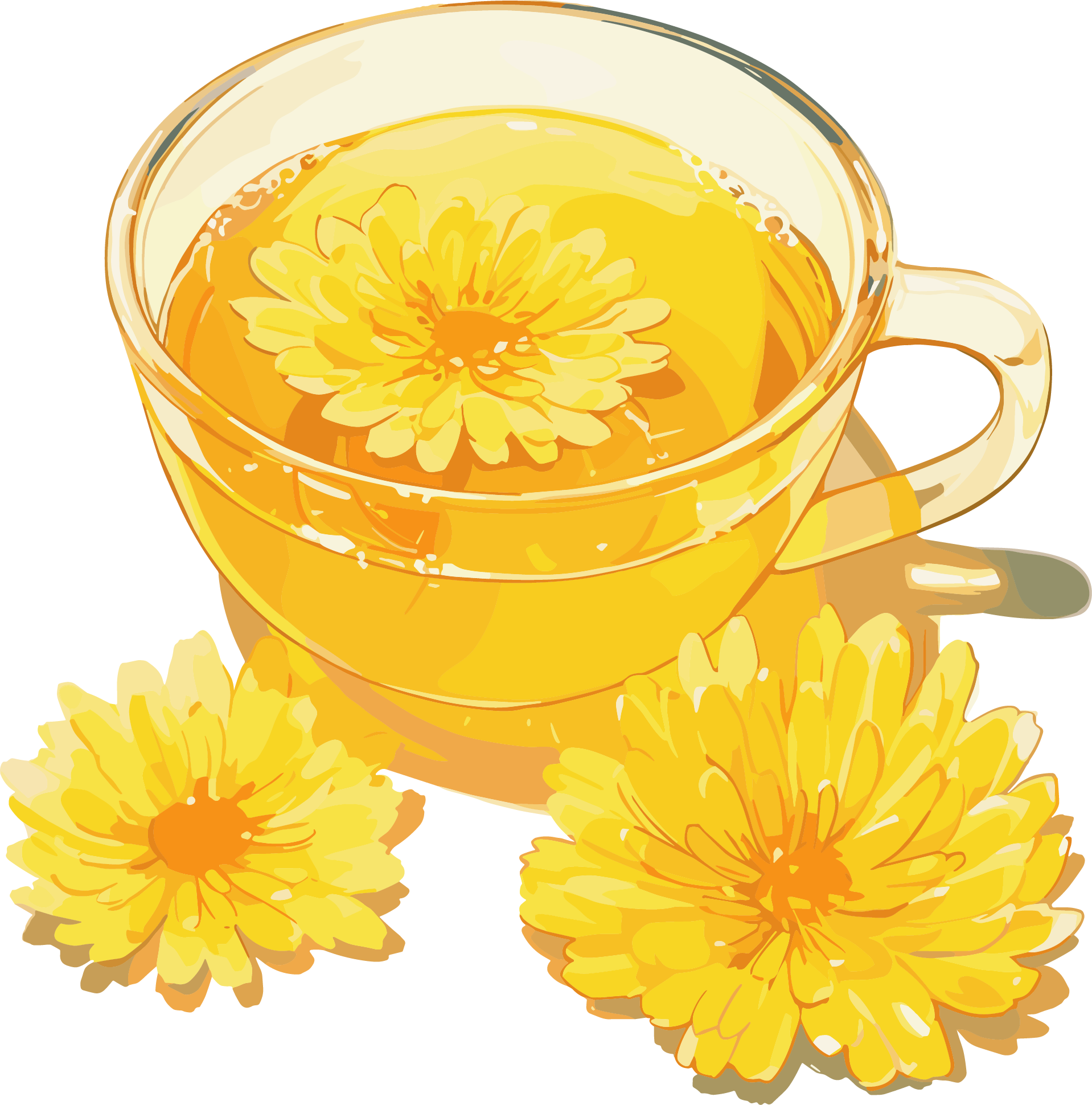 菊花茶PNG插画
