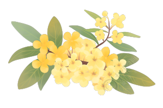 立秋桂花素材