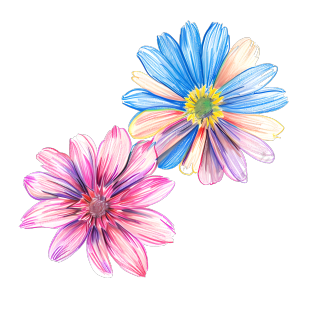 蜡笔画小花插图