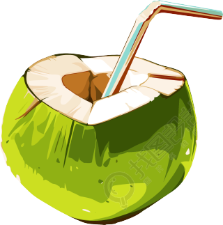 椰汁插画设计元素