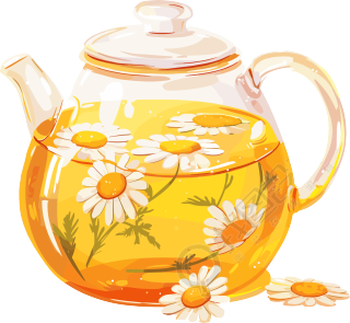 菊花茶可商用插画