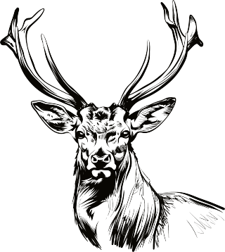 麋鹿素描元素
