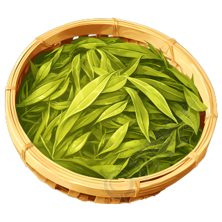 一篮子白露茶素材