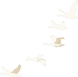 大雁简约扁平插画