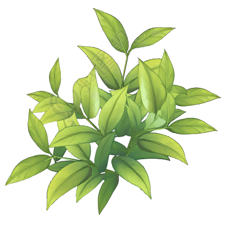白露茶矢量素材