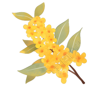 桂花PNG创意插图