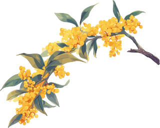 桂花插画设计元素