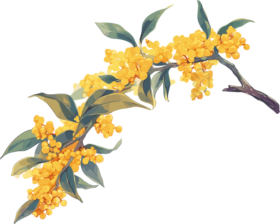 桂花插画设计元素