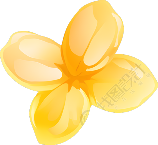 桂花花瓣素材