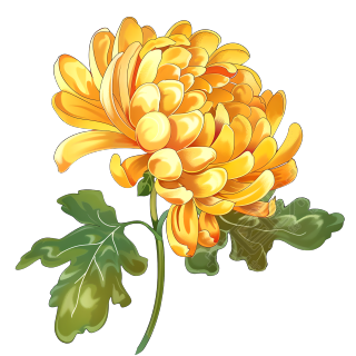菊花插画设计素材