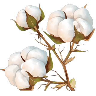 棉花卡通插画设计