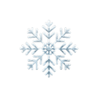 白色雪花元素