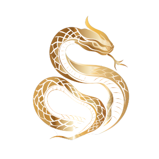 2025年蛇年插画