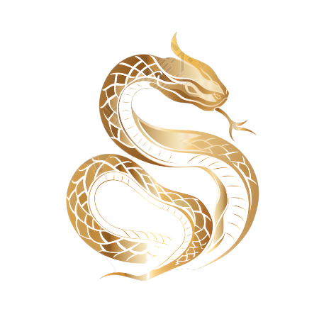 2025年蛇年插画