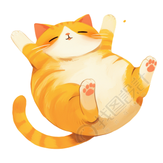 橘猫商业设计素材