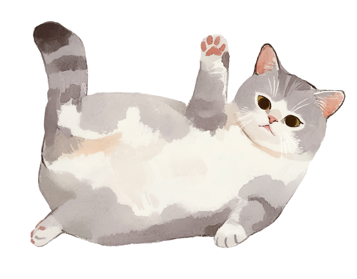 英短猫咪简笔画素材