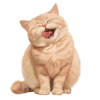可爱猫咪插图