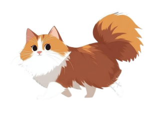 长毛猫创意插画