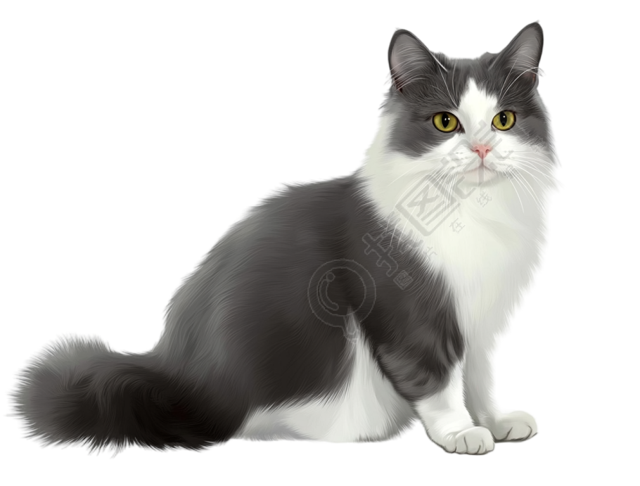 卡通小猫插图