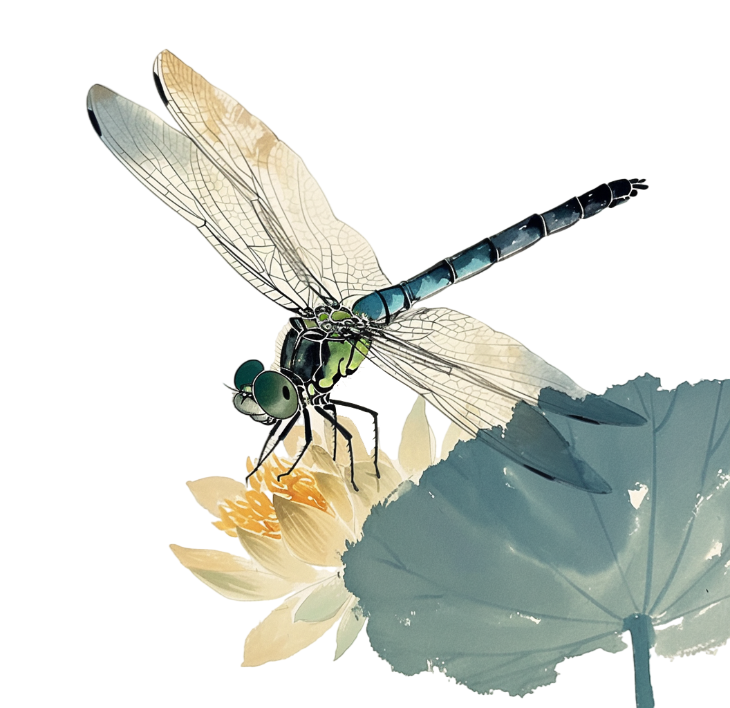 蜻蜓荷花插图