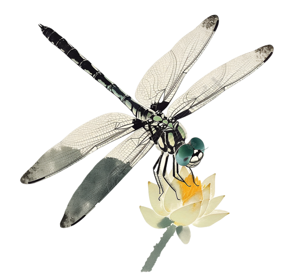 蜻蜓荷花素材