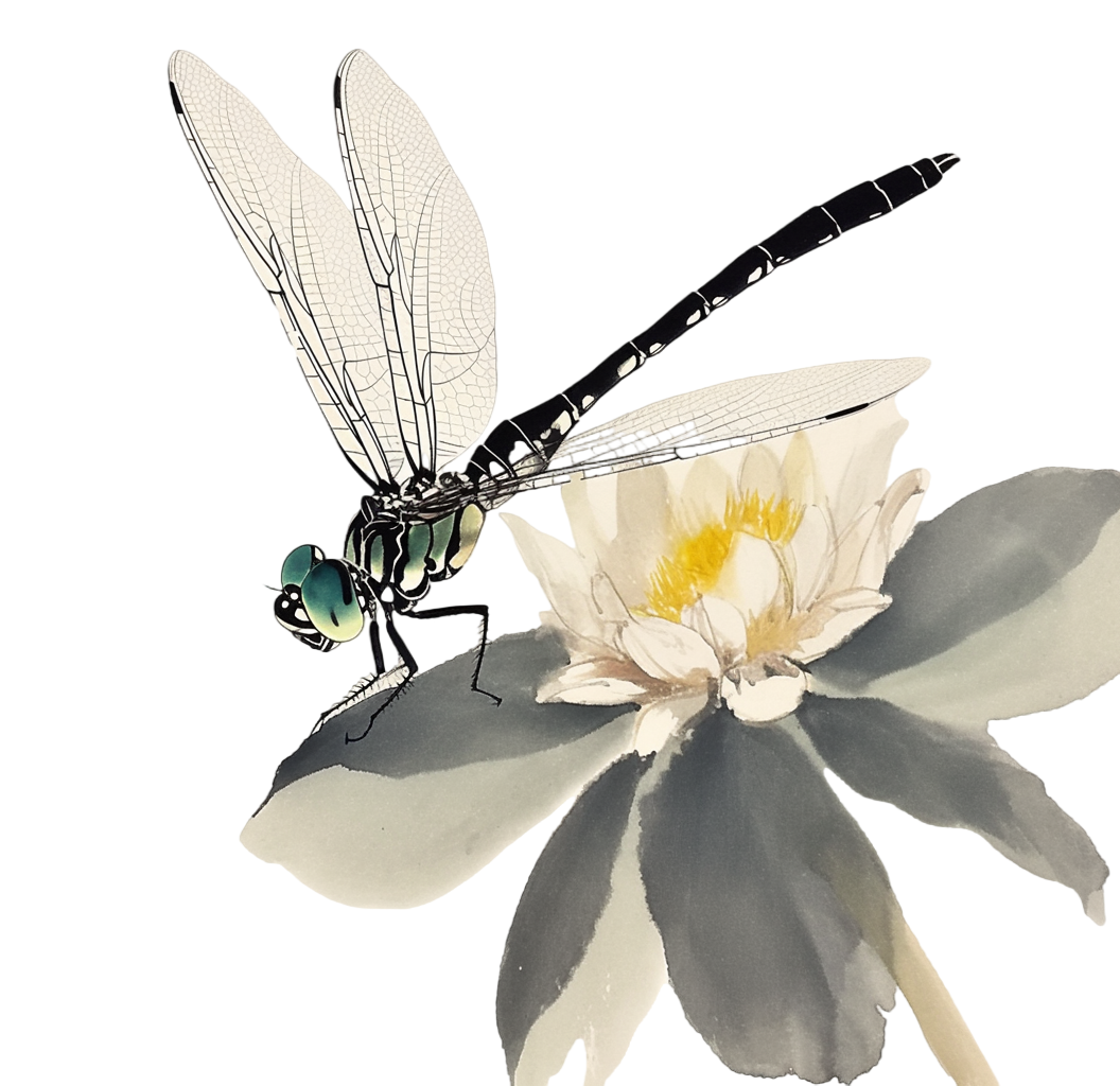蜻蜓荷花插画