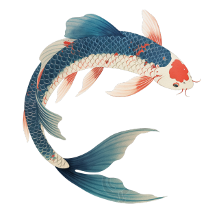 小鱼高清插画