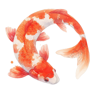 小鱼高清插图