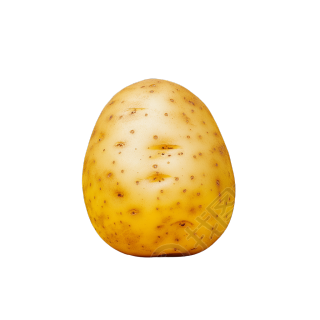 土豆高清插图