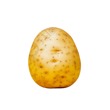 土豆高清插图