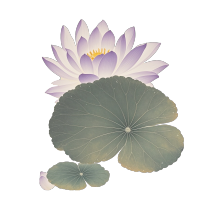 睡莲插画素材