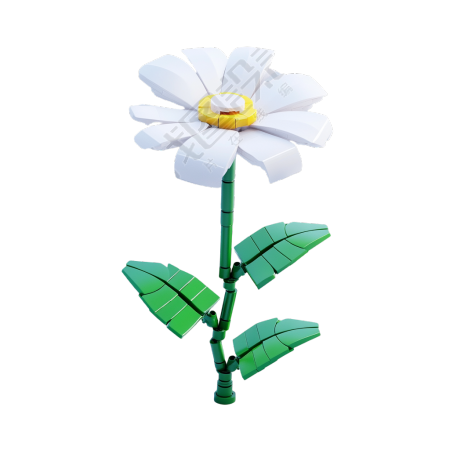 小雏菊积木素材