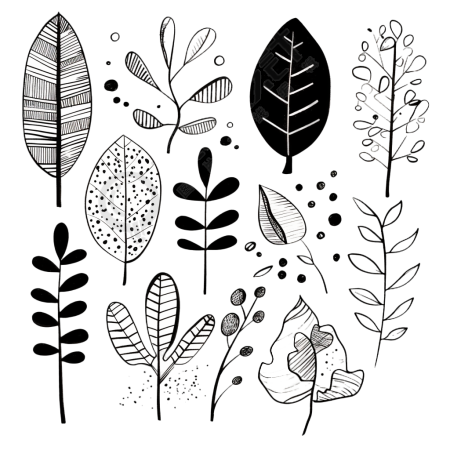 叶子轮廓创意插画