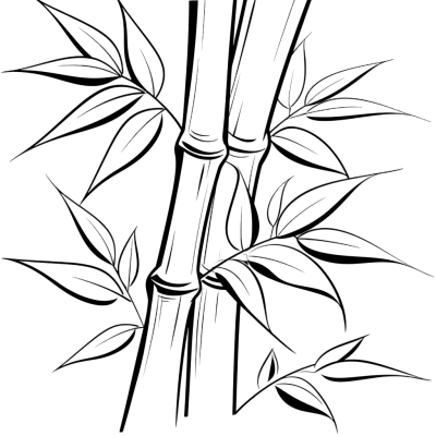 叶子轮廓竹叶插图