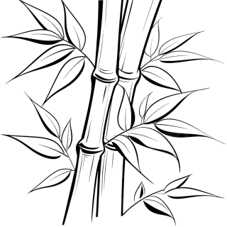 叶子轮廓竹叶插图