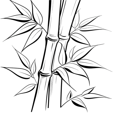 叶子轮廓竹叶插图