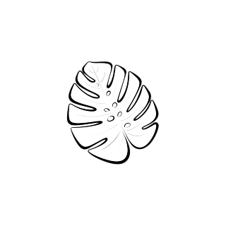 叶子轮廓简约插画