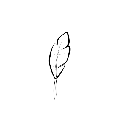 叶子轮廓可商用插画